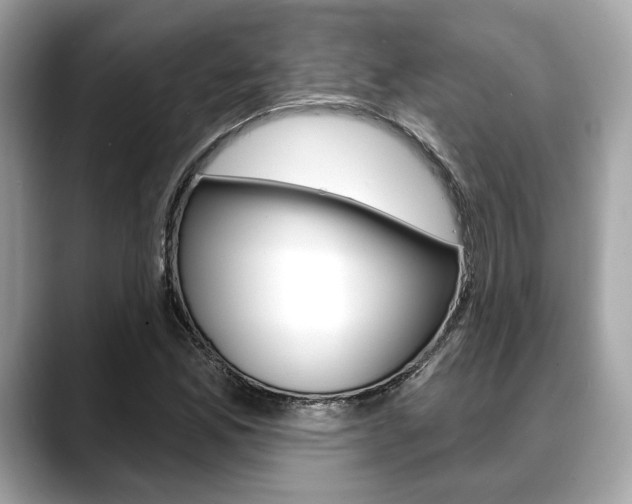 X0000088691165200705310952
