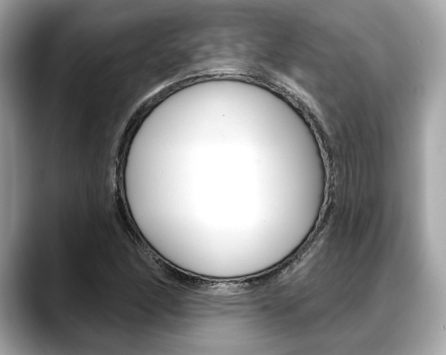 X0000088691166200705310952