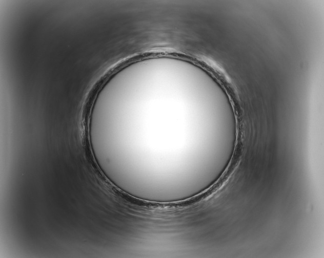 X0000088691167200705310952