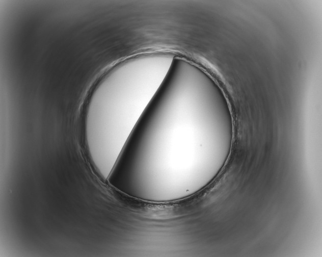 X0000088691171200705310952