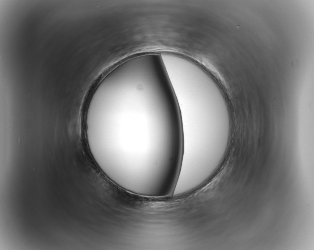 X0000088691173200705310952