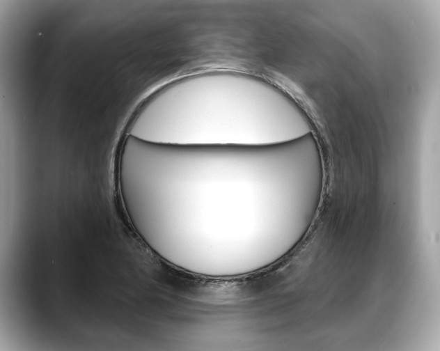X0000088691174200705310952