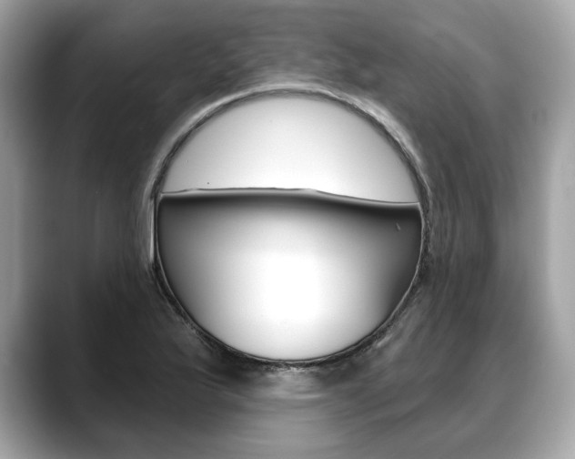 X0000088691175200705310952