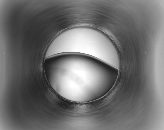 X0000088691177200705310952