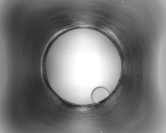 X0000088691182200705310952