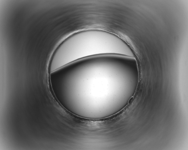 X0000088691184200705310952