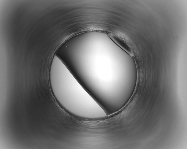 X0000088691185200705310952