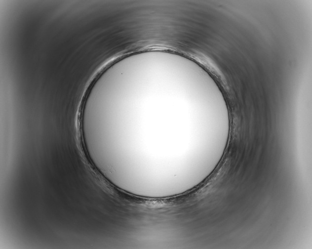 X0000088691190200705310952