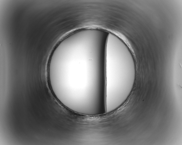 X0000088691191200705310952
