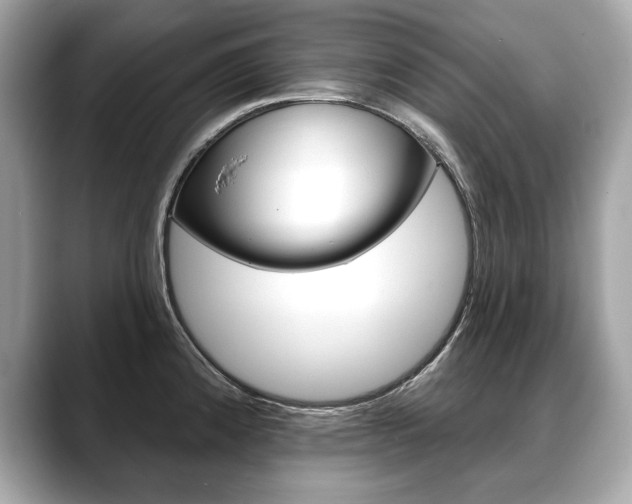 X0000088691192200705310952