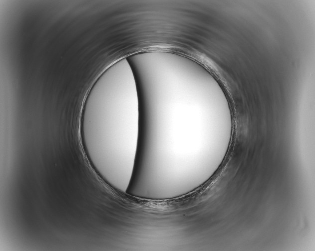 X0000088691194200705310952