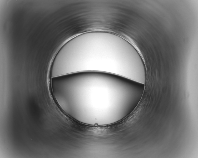 X0000088691195200705310952