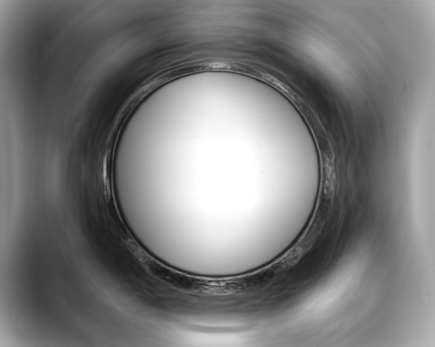 X0000088691198200705310952