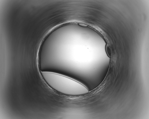 X0000088691199200705310952