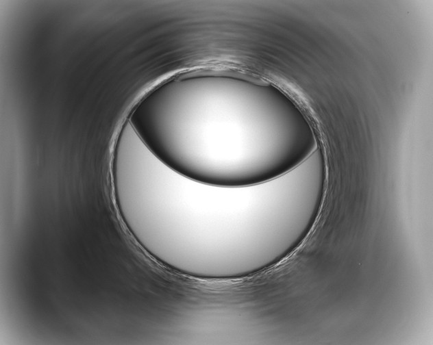 X0000088691200200705310952