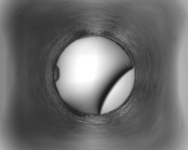 X0000088691201200705310951