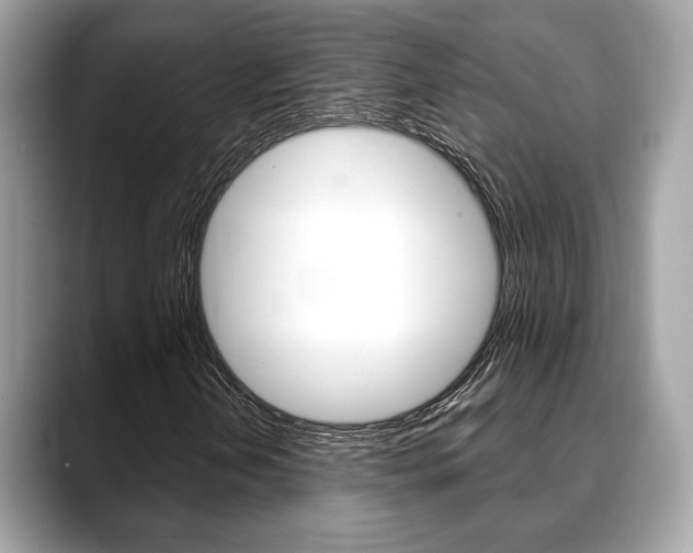 X0000088691202200705310951