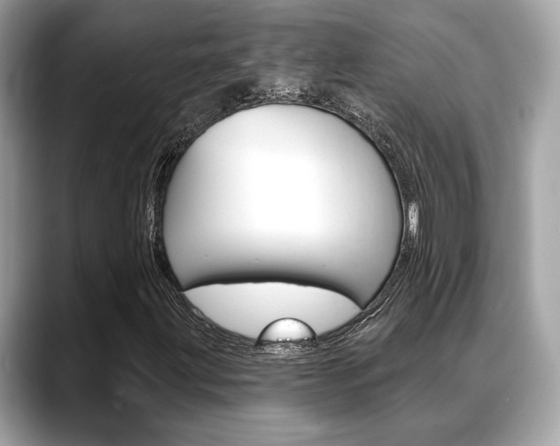 X0000088691203200705310952