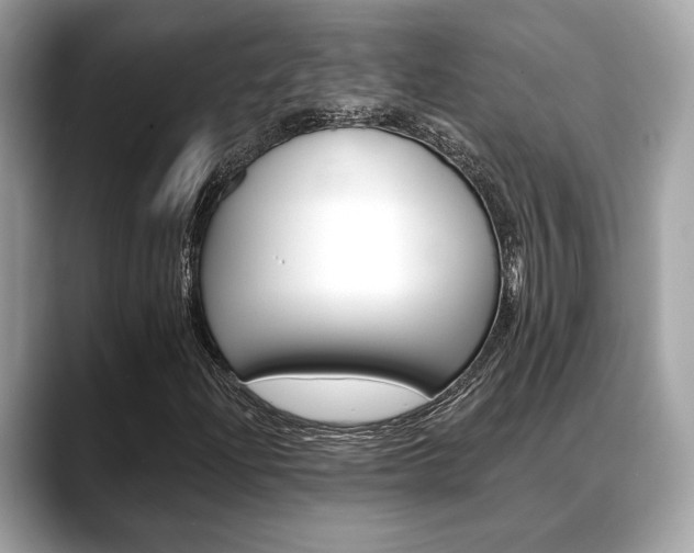 X0000088691204200705310952