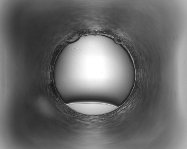 X0000088691205200705310952