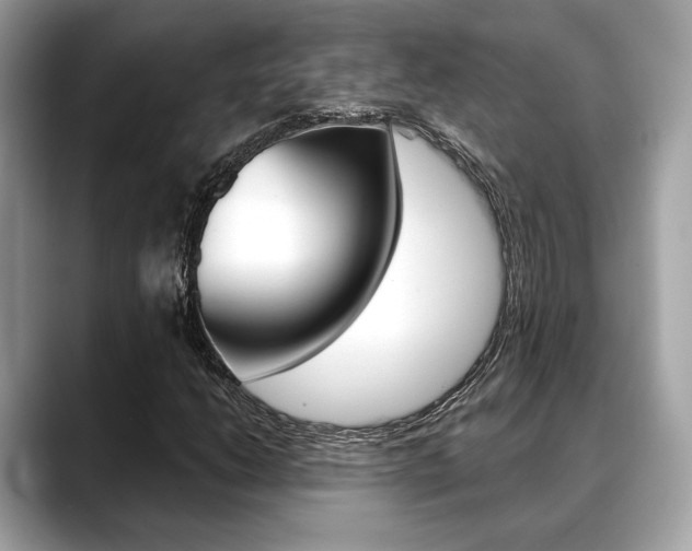 X0000088691206200705310952