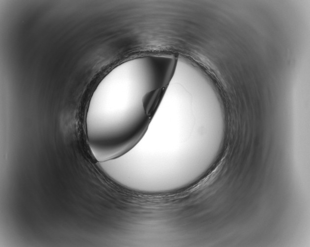 X0000088691210200705310952