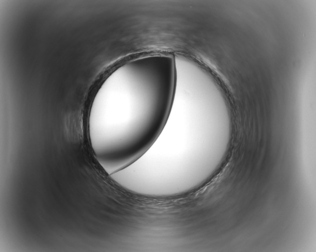 X0000088691214200705310952