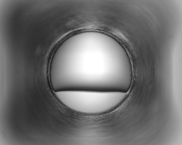 X0000088691216200705310952