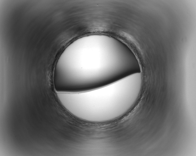 X0000088691217200705310952
