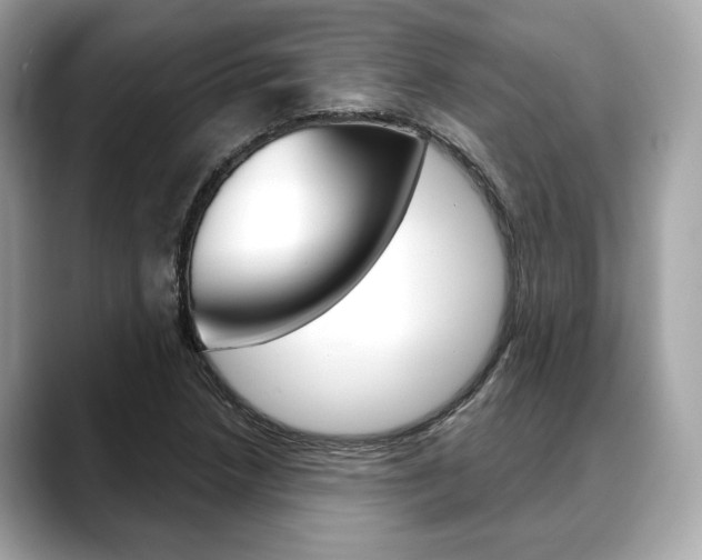 X0000088691218200705310952