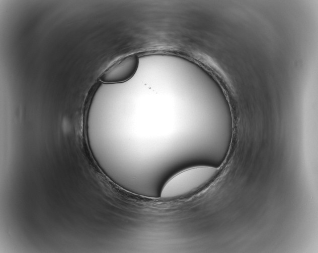 X0000088691220200705310952