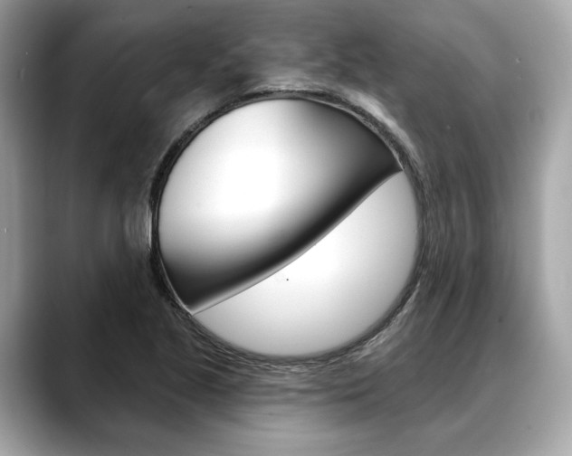 X0000088691221200705310952