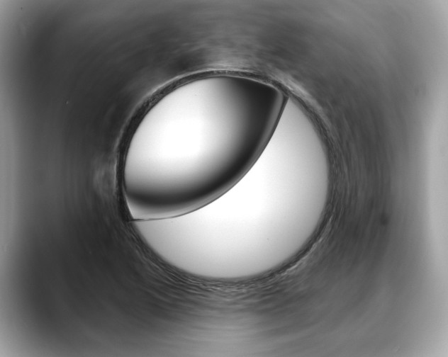 X0000088691222200705310952
