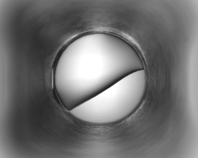 X0000088691223200705310952