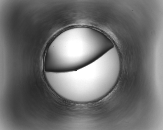 X0000088691224200705310952