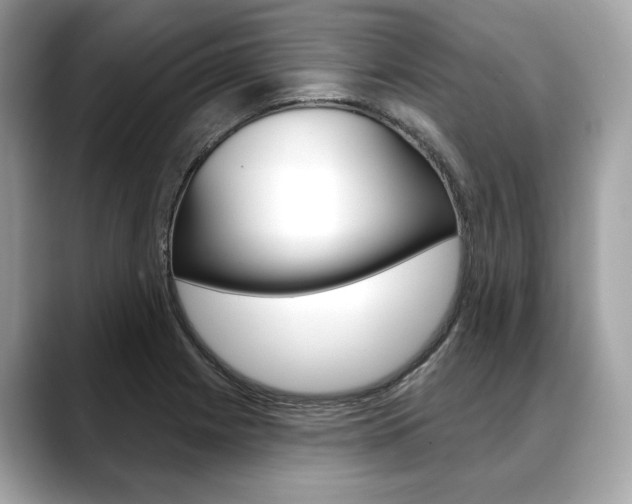 X0000088691225200705310952