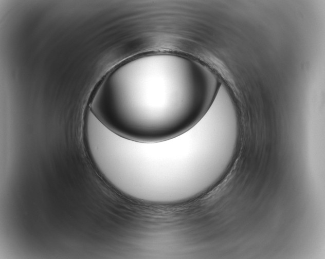 X0000088691226200705310952