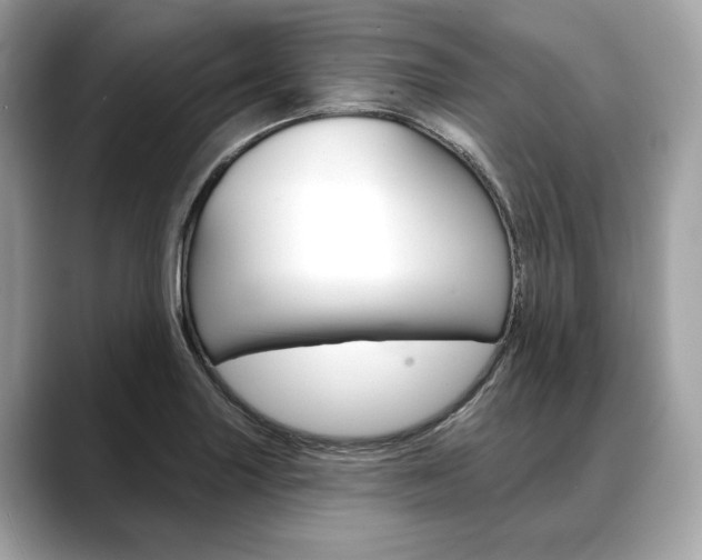 X0000088691227200705310952