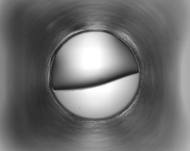 X0000088691228200705310952