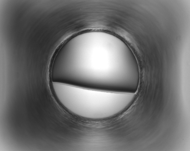X0000088691229200705310952