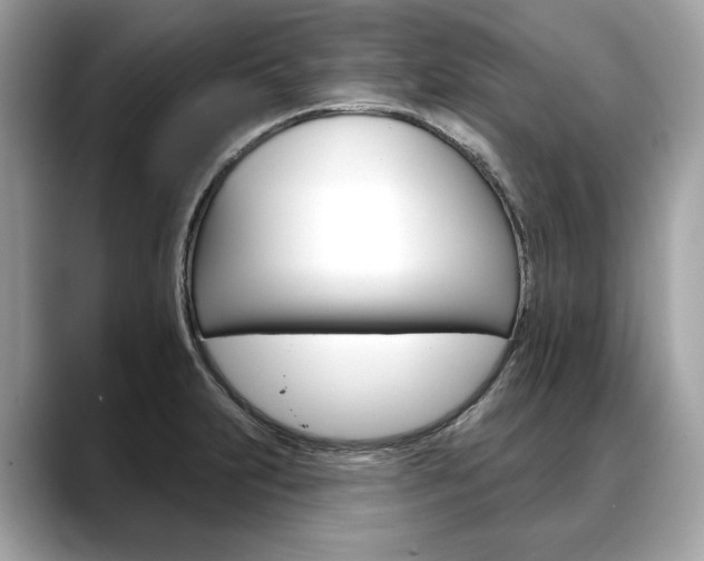 X0000088691231200705310952