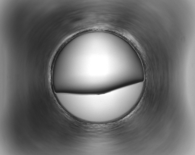 X0000088691232200705310952