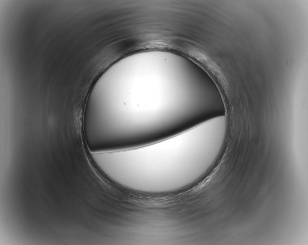 X0000088691233200705310952