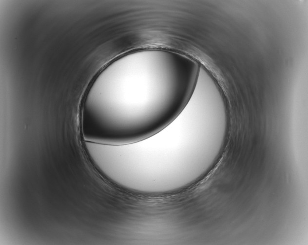 X0000088691234200705310952