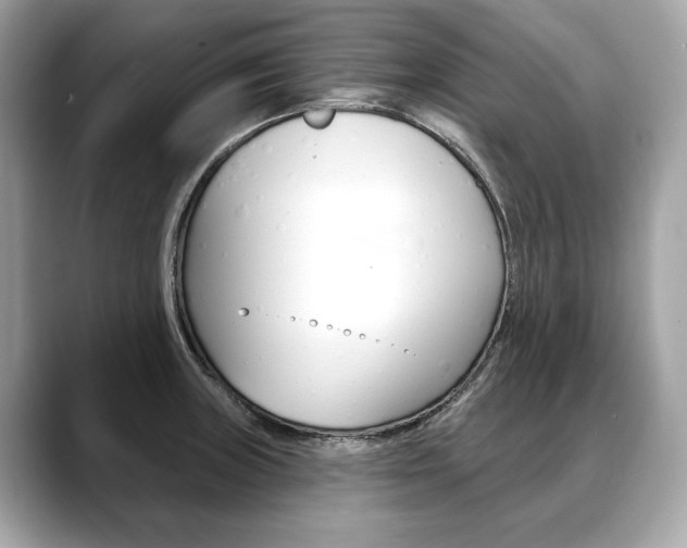 X0000088691235200705310952