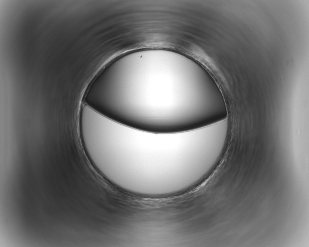 X0000088691236200705310952