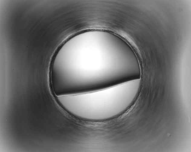 X0000088691237200705310952
