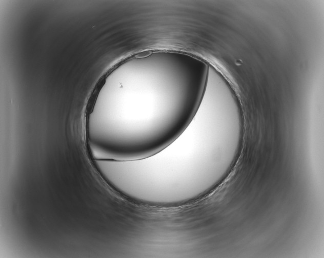 X0000088691238200705310952