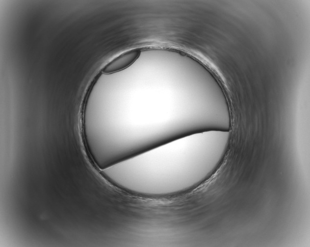 X0000088691239200705310952