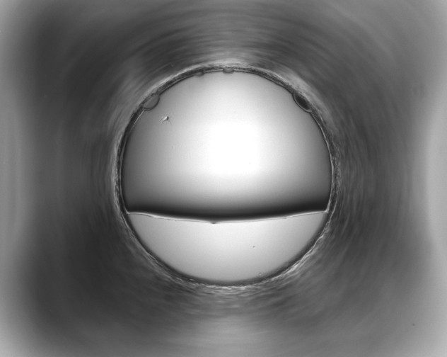 X0000088691240200705310952